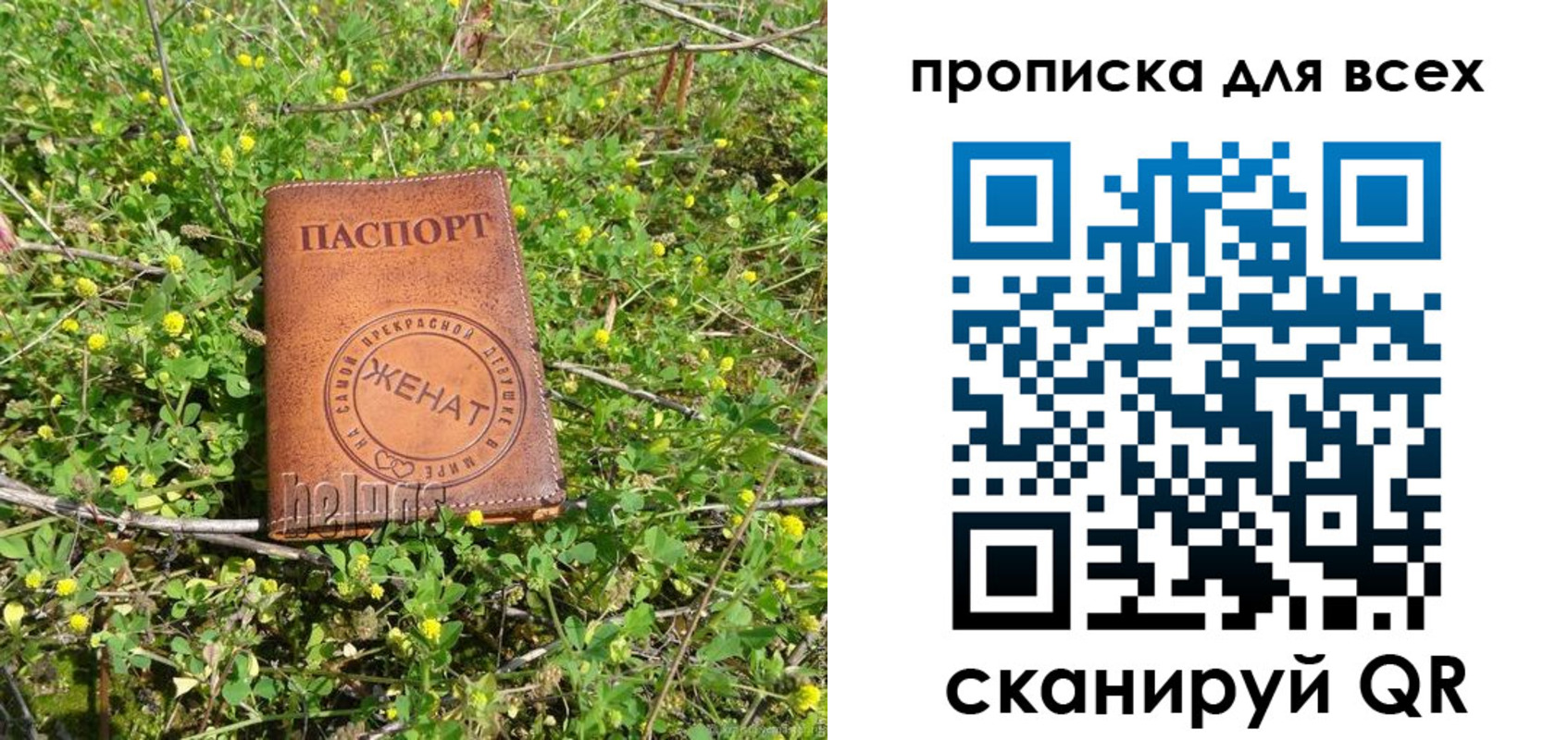 прописка поиск в Пермском крае